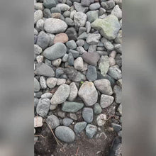 Load and play video in Gallery viewer, Plant Markers
